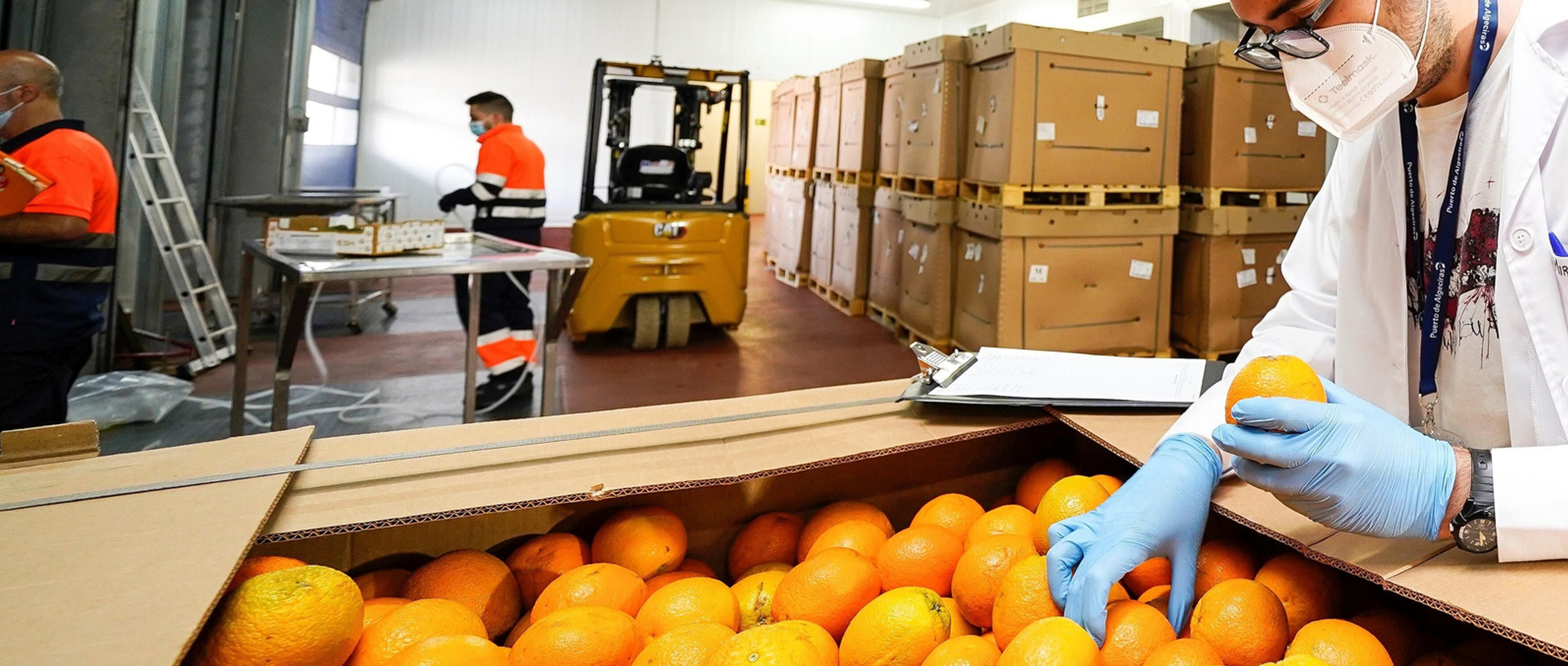 Posicionamiento de ANIADE ante la integración de servicios de inspección de sanidad vegetal y de higiene de los alimentos, en los Puntos de Control Fronterizos (PCF)